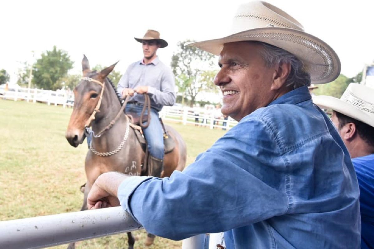 Caiado ironiza Flávio: 